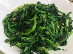 荷兰豆苗-新金盛·海鲜酒楼(盐田店)
