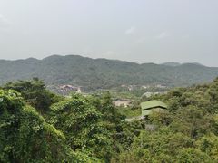 -海南槟榔谷黎苗文化旅游区
