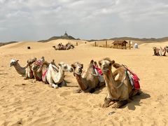 -银肯塔拉沙漠生态旅游景区