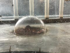-浙江省科技馆