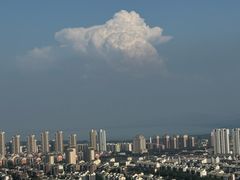 -府君山公园