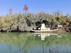 -泗洪洪泽湖湿地景区