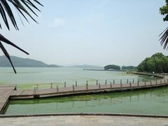 -水上明月·湖景餐厅