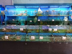 水产区-叶姐海鲜(棋子湾店)