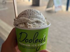 -Dooley's Premium Ice Cream