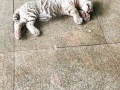 -秦皇岛野生动物园
