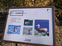 -大兴滨河森林公园