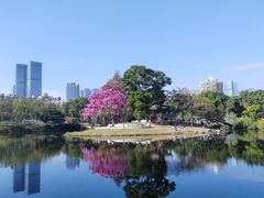 -四海公园(南山区)
