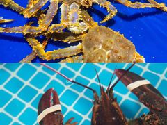 -三亚火车头万人海鲜广场