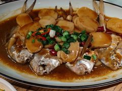 -新白鹿餐厅(百联中环店)