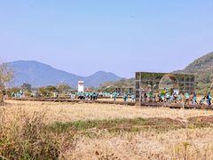 -风云岭森林公园