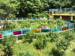 -十渡东湖港风景区