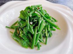 凉拌丝瓜尖-泉味道贵州厨房(三里河店)
