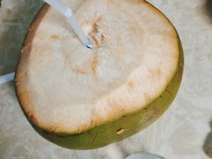 -墨脱石锅椰子鸡•香草鸭•东山羊(大东海店)