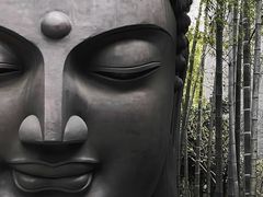 -杭州植物园