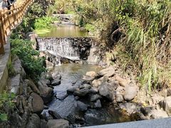 -梅岭月亮湾山体公园