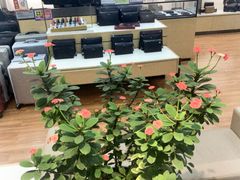 -通程奥特莱斯(华晨店)