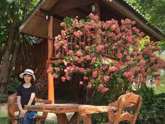 -黄色小屋