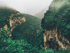 -黄花溪