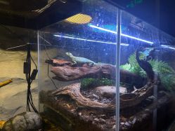 -Zoolung Zoolung动物主题公园(海信广场店)