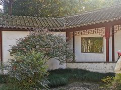 -秋霞圃