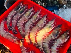 -仙本那小型鱼市