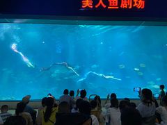 -福州罗源湾海洋世界旅游区