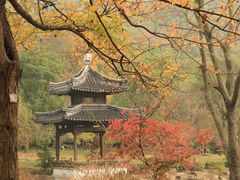 -穹窿山景区