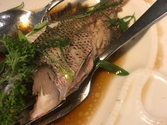 -Isla Sugbu Seafood City