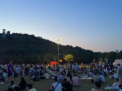 -羊山湖公园