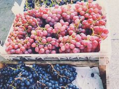 -东海金街农贸商城