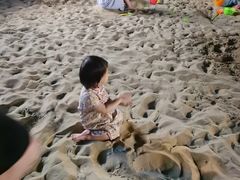 -上海佘山世茂艾美酒店