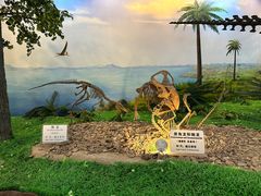 -嘉荫恐龙国家地质公园