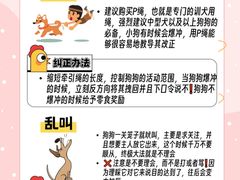 -佩兹宠物医院肿瘤专科·眼科·牙科(黄浦店)