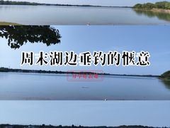 -丁香湖公园