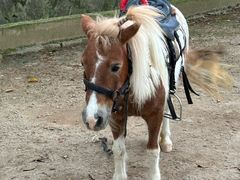 -泉州海丝野生动物世界