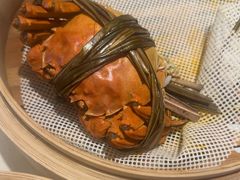 -杨氏青龙虾·羊蝎子(托乐嘉店)