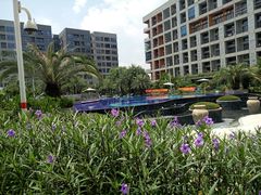 -碧桂园空港凤凰酒店(广州新白云机场店)