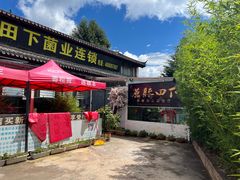 -蘑统田下·野生菌火锅