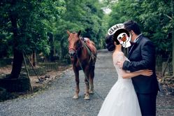 -金夫人婚纱摄影(华南店)