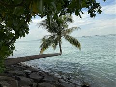-巴拉湾海滩