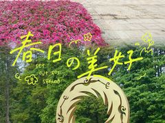 -金沙遗址博物馆