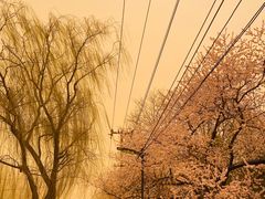 -元大都城垣遗址公园