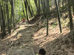 -上海佘山国家森林公园天马山园