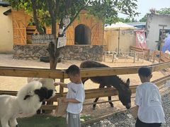 -HERRE·FARM 赫尔露营农场·团建聚会包场