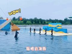 -秦皇岛乐岛海洋王国