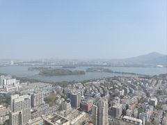 -紫峰大厦