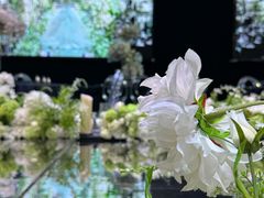 -同庆楼(花园店)