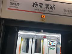 -杨高南路(地铁站)