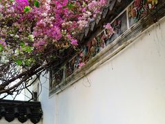 -深圳国际园林花卉博览园
